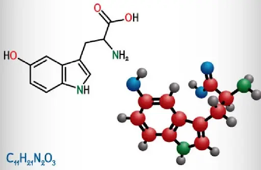 5 htp yu sleep ingredients