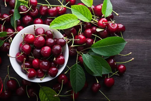 red tart cherry extract yu sleep ingredients